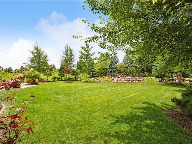 4390 Flagstick Dr, Marion, IA 52302 - view of green lawn