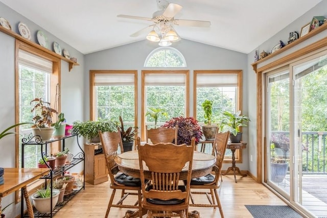 2815 Oak Crest Ct NW, Cedar Rapids, IA 52405 - dining room with lofted ceiling, a ceiling fan, and light wood-style floors