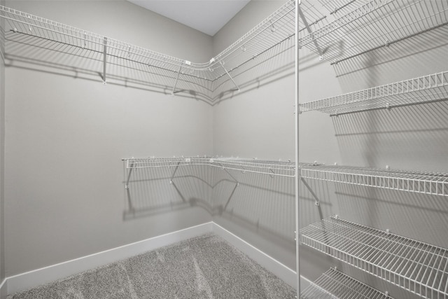 19 Pond Rdg, Coralville, IA 52241 - walk in closet featuring carpet