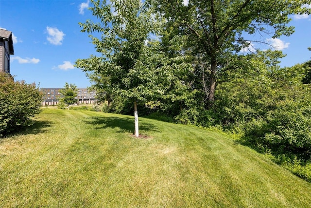 19 Pond Rdg, Coralville, IA 52241 - view of grassy yard