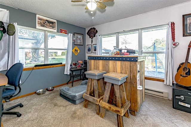 21 Mill St, Walker, IA 52352 - home office with a baseboard heating unit, carpet flooring, ceiling fan, and a textured ceiling