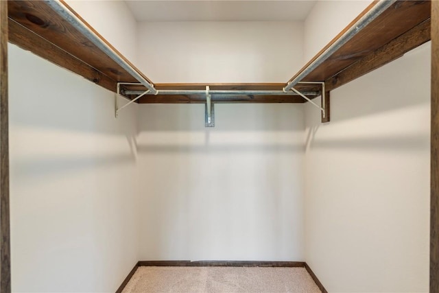 6752 29th Ave, Shellsburg, IA 52332 - view of walk in closet