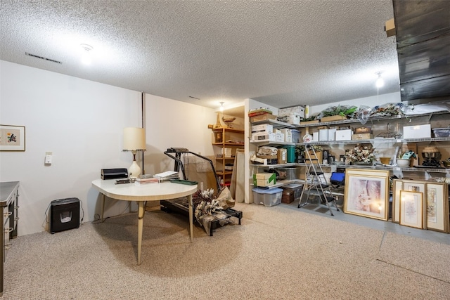 1661 Bilgarie Ct NE Unit A, Cedar Rapids, IA 52402 - carpeted home office featuring a textured ceiling