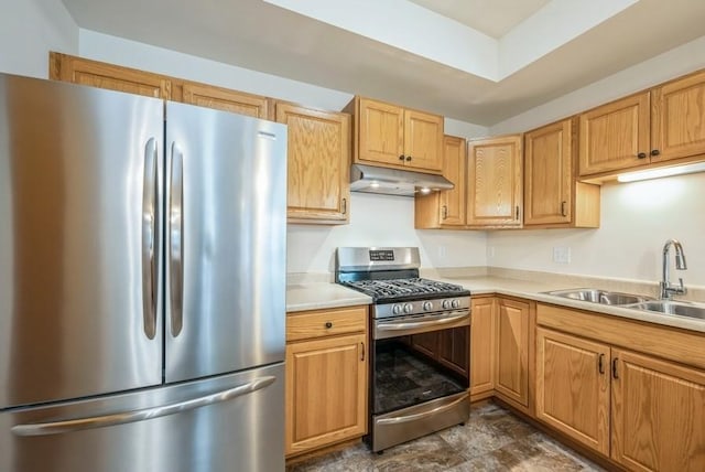 919 Deer Run Dr NE, Cedar Rapids, IA 52402 - kitchen with stainless steel appliances, under cabinet range hood, and light countertops
