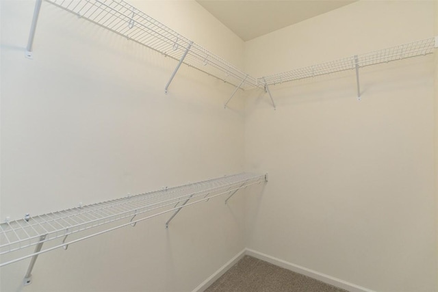 806 Crestview Dr, Solon, IA 52333 - spacious closet featuring carpet