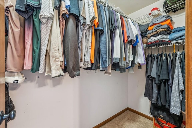 1301 Scarlet Sage Dr SW, Cedar Rapids, IA 52404 - spacious closet featuring carpet floors