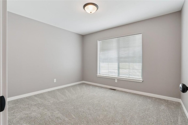 918 Juneberry Dr, Palo, IA 52324 - photo 18