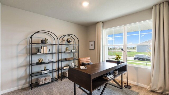 712 E Goldfinch Dr, Tiffin, IA 52340 - photo 17