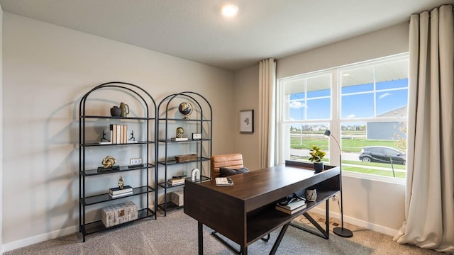 713 E Goldfinch Dr, Tiffin, IA 52340 - office area with carpet floors and baseboards