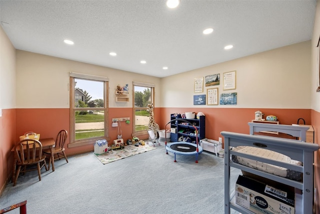 1720 Charleston Dr, Marion, IA 52302 - living area with carpet, recessed lighting, and a textured ceiling