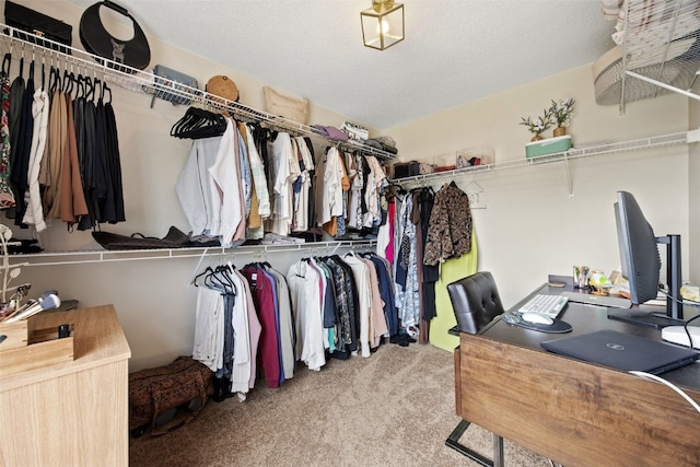 1720 Charleston Dr, Marion, IA 52302 - walk in closet featuring carpet flooring