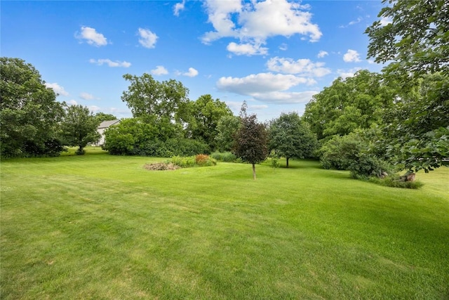 115 3rd St NE, Mount Vernon, IA 52314 - view of grassy yard with view of scattered trees