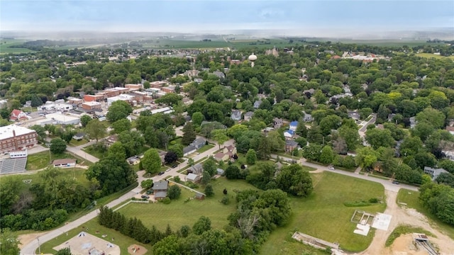 115 3rd St NE, Mount Vernon, IA 52314 - bird's eye view of a tree filled landscape