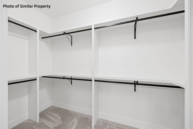6706 Lauder Ln NE, Cedar Rapids, IA 52411 - walk in closet featuring carpet floors