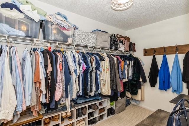 2135 1st Ave SE Unit 125, Cedar Rapids, IA 52402 - walk in closet with carpet floors