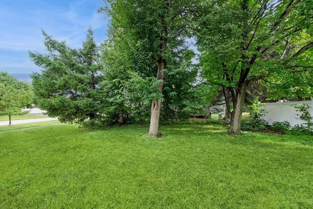 3524 Swallow Ct NE, Cedar Rapids, IA 52402 - view of yard