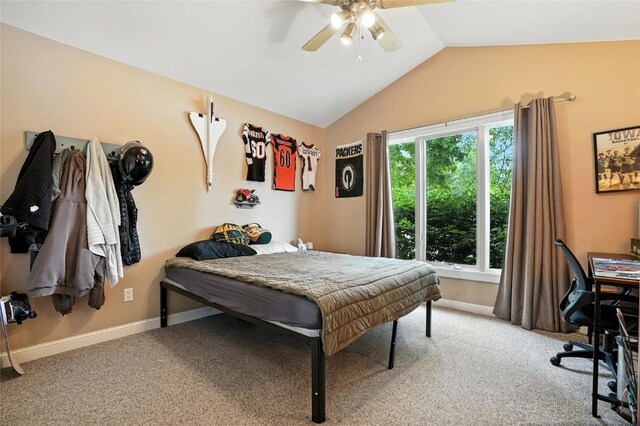 901 Barrington Rd, Iowa City, IA 52245 - photo 20