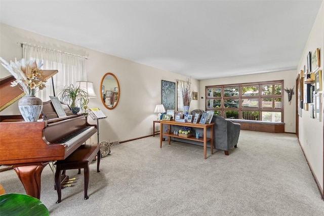 927 Southlawn Dr, Iowa City, IA 52245 - living area with carpet floors and baseboards