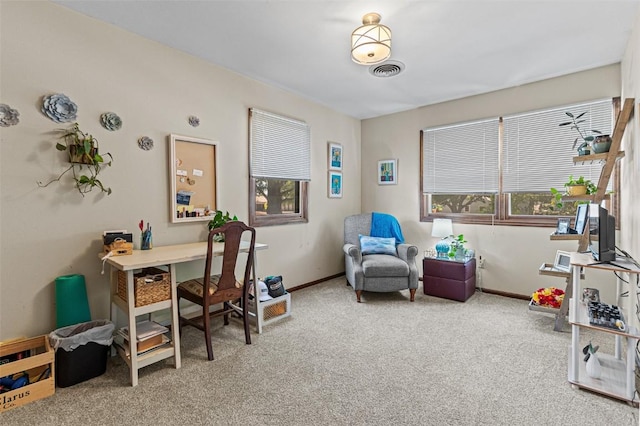 927 Southlawn Dr, Iowa City, IA 52245 - office space with carpet flooring and plenty of natural light