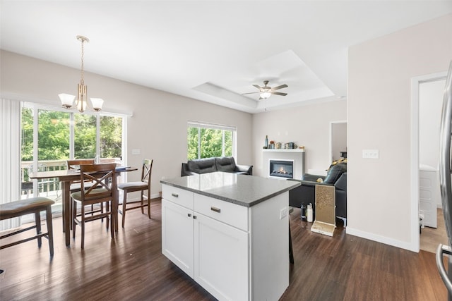 281 Danielle St, Iowa City, IA 52245 - kitchen featuring a raised ceiling, dark wood-style floors, a glass covered fireplace, and hanging light fixtures