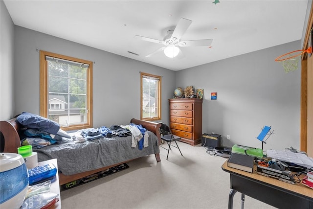 1706 Woodcrest St NE, Cedar Rapids, IA 52402 - photo 17