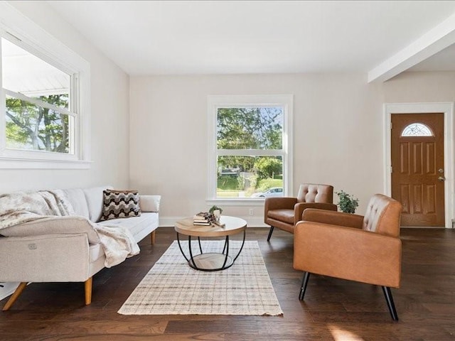 1308 A Ave NW, Cedar Rapids, IA 52405 - living room featuring dark wood-style flooring and baseboards