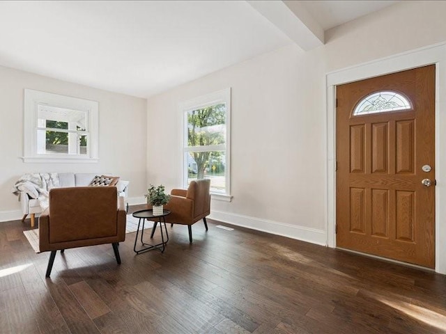 1308 A Ave NW, Cedar Rapids, IA 52405 - foyer with healthy amount of natural light and dark wood-type flooring