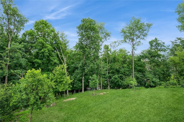 1579 Matterhorn Dr NE, Cedar Rapids, IA 52402 - view of yard featuring a view of trees