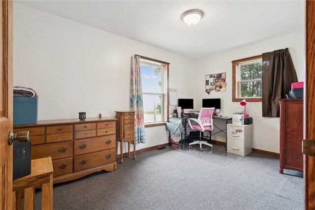 1009 W 1st St, Vinton, IA 52349 - office with carpet and baseboards