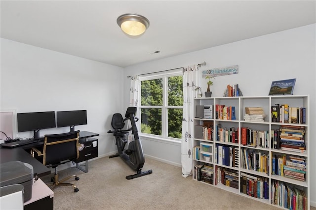 4420 Spring Meadow Pl NE, Cedar Rapids, IA 52411 - office space featuring carpet and baseboards