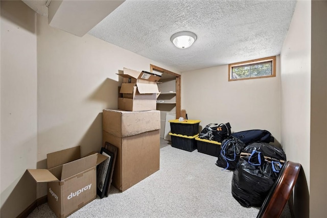 105 E Clark St, Hiawatha, IA 52233 - view of storage area