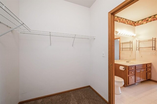 1641 Greens Way Ct, Cedar Rapids, IA 52402 - walk in closet featuring a sink