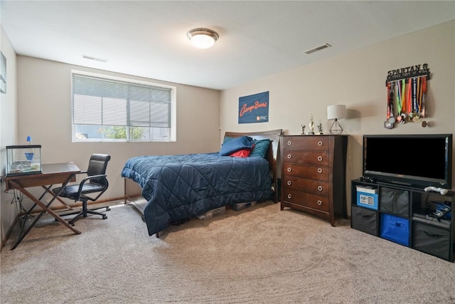 701 Plum St, Solon, IA 52333 - photo 29