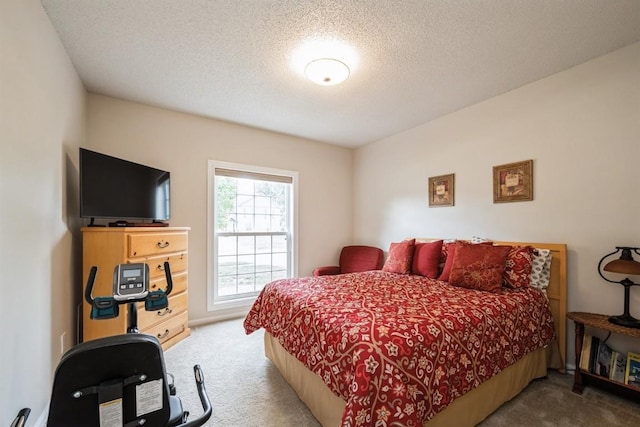 4405 Westchester Dr Unit B, Cedar Rapids, IA 52402 - carpeted bedroom with a textured ceiling