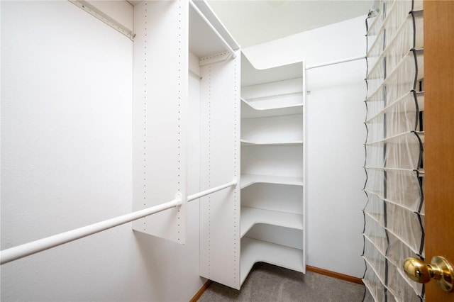 6514 Fox Run Dr SW, Cedar Rapids, IA 52404 - spacious closet featuring carpet flooring
