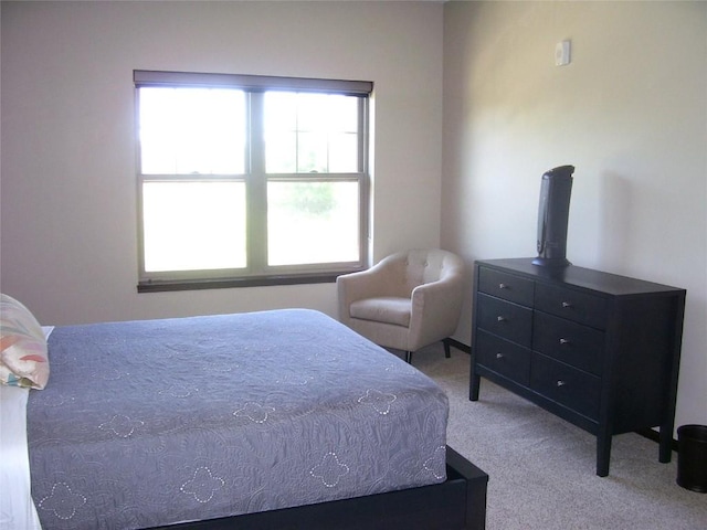 829 N 1st Ave N, Iowa City, IA 52245 - photo 8