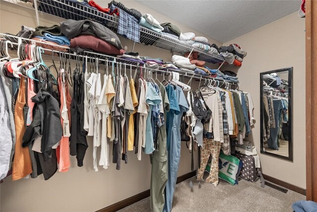 114 Therese Ave, Anamosa, IA 52205 - walk in closet with carpet