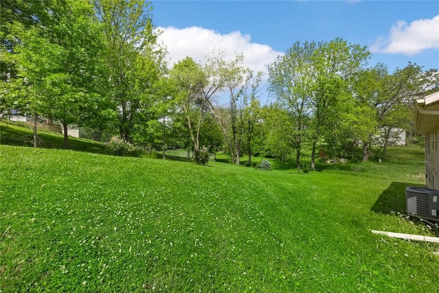 114 Therese Ave, Anamosa, IA 52205 - view of yard