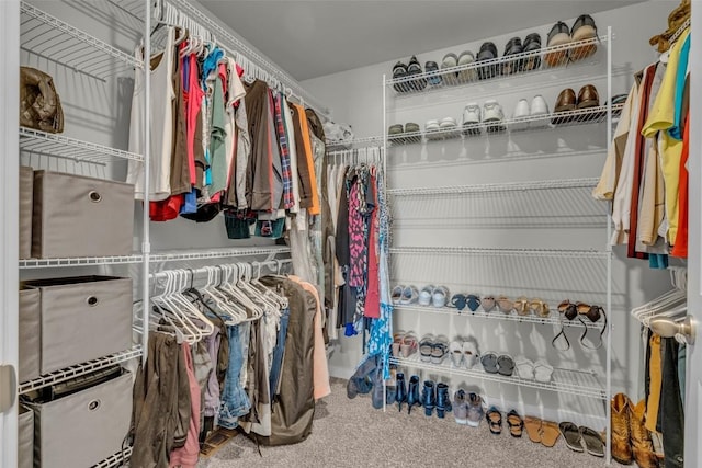 305 Sumac Dr, Palo, IA 52324 - walk in closet with carpet