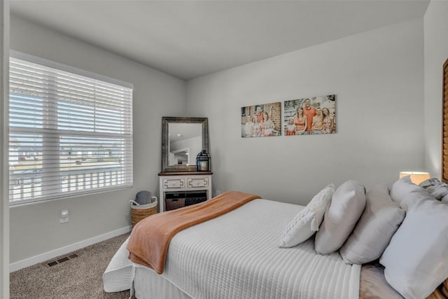 305 Sumac Dr, Palo, IA 52324 - bedroom with baseboards and carpet