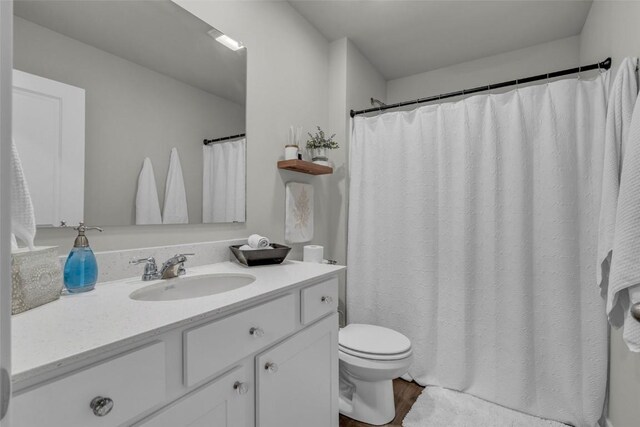 305 Sumac Dr, Palo, IA 52324 - full bathroom featuring vanity, wood finished floors, and a shower with curtain