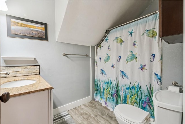 1207 E 4th St, Vinton, IA 52349 - bathroom with wood finished floors, lofted ceiling, vanity, and a shower with curtain