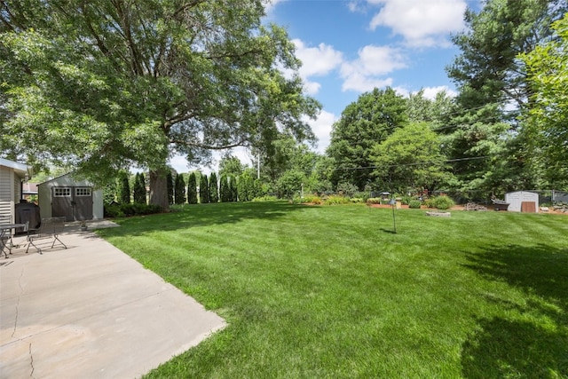 330 E S St, Lisbon, IA 52253 - view of grassy yard with a storage shed and a patio area