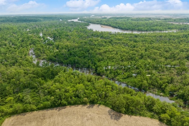 4100 Greens Grove Rd, Center Point, IA 52213 - bird's eye view of a heavily wooded area and a large body of water