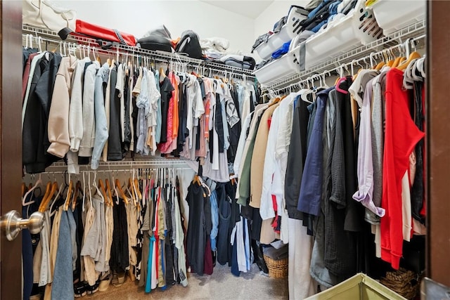 5512 Black Oak Dr NE, Cedar Rapids, IA 52411 - spacious closet featuring carpet