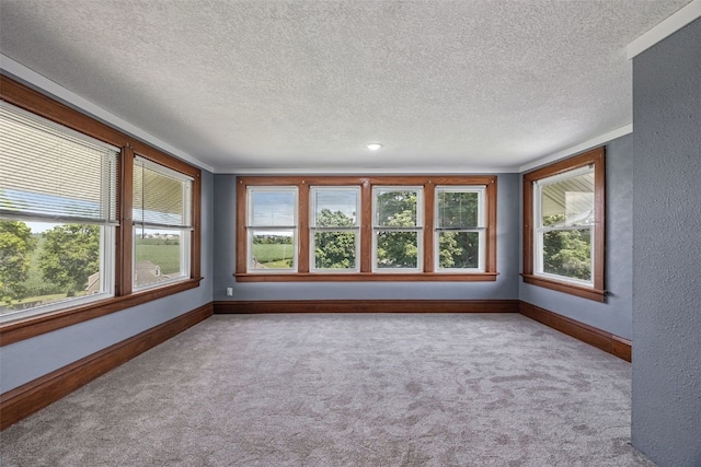 308 Main St, Norway, IA 52318 - unfurnished room with a textured ceiling, carpet floors, and healthy amount of natural light