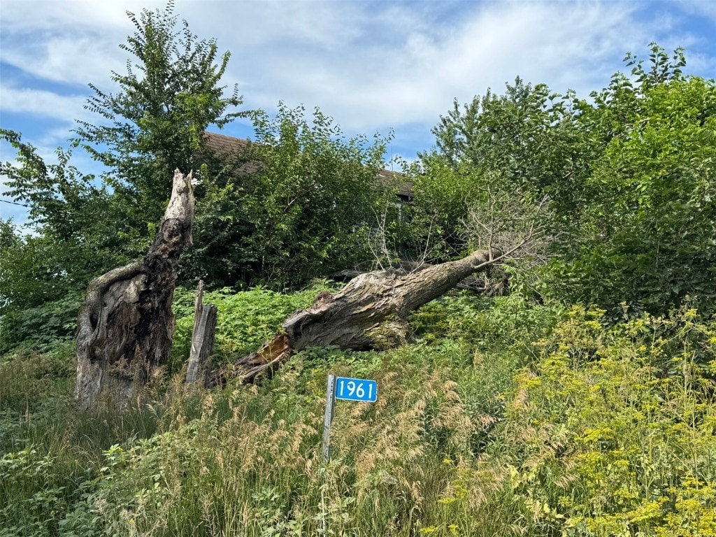 1961 140th St, Wellman, IA 52356 - view of local wilderness