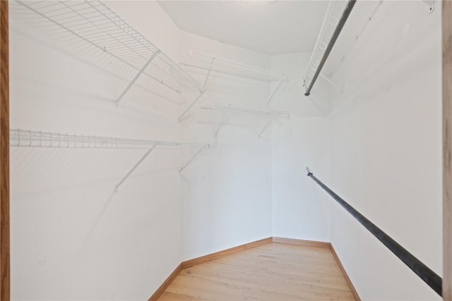 405 Linn Dr, Palo, IA 52324 - walk in closet featuring light wood finished floors