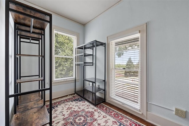 103 10th Ave SW, Mount Vernon, IA 52314 - doorway to outside featuring wood finished floors and crown molding
