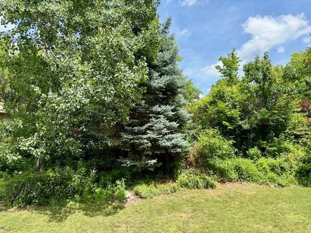 104 Oberlin St, Iowa City, IA 52245 - view of nature